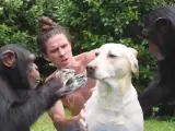 Kody Antle se ha vuelto viral con un vídeo en el que aparece bañando a un perro con la ayuda de dos chimpancés.