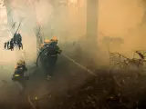 Incendio forestal en Porto do Son, Galicia.
