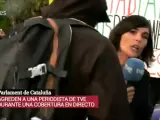 La periodista &Aacute;ngela Garc&iacute;a Romero, atacada durante la Diada 2019.