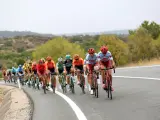 El pelotón de La Vuelta a España.