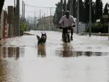 Un vecino de la población alicantina de La Daya Vieja junto a su perro tras las inundaciones que ha provocado la gota fría en la Comunidad Valenciana.