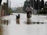 Un vecino de la población alicantina de La Daya Vieja junto a su perro tras las inundaciones.