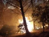 Incendio forestal en Casares