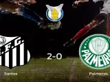El Santos FC se hace fuerte en casa y derrota al Palmeiras
