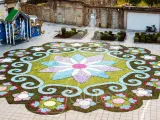 Alfombra floral realizada por la Asociación de Alfombristas Do Corpus Christi de Ponteareas