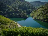 Ribeira Sacra