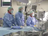 Imagen de una operación realizada en el hospital Niguarda de Milán (Italia).