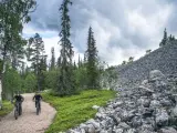 Parque natural en Laponia