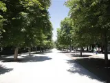 Imagen de recurso del un paseo con árboles y vegetación en el Parque del Retiro de Madrid.