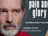 Antonio Banderas reacciona a su nominación a los Oscar 2020
