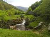 Paisaje cántabro de los Valles Pasiegos. Viaña, en Vega de Pas. Montañas, valles, ríos. Turismo rural. Naturaleza. Medio Ambiente.