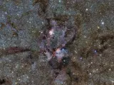 La Nebulosa de la Langosta, donde el gas y el polvo rodean a las crías, formando estrellas.