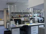 Laboratorio en el Centro Nacional de Microbiología, en Majadahonda/Madrid (España) a 28 de enero de 2020.