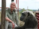 Jane Goodall with rescued chimpanzee LaVielle at the Tchimpounga Chimpanzee Rehabilitation Center in the Republic of the Congo.