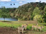 Parque de la Naturaleza de Cab&aacute;rceno