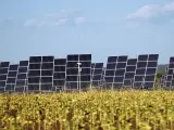 energía renovable paneles solares