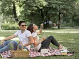 En un parque, en la ladera de la monta&ntilde;a o en cualquier excursi&oacute;n se puede disfrutar de un picnic.