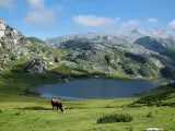Lagos de Covadonga (Asturias)