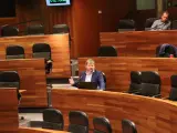 El diputado de Ciudadanos, Sergio García, durante una intervención en el Parlamento.