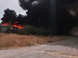 Incendio en el entorno de Palmete