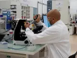 Un investigador trabaja en un laboratorio de la farmaceútica Sanofi, en Marcy-l'Etoile, Francia.