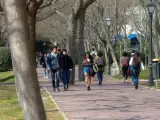Alumnos pasean en el campus de la Universidad Aut&oacute;noma de Madrid.