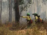 Imagen de bomberos sofocando el incendio en Huelva.