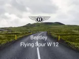 Bentley Flying Spur W 12