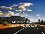 Mercedes Benz Clase M ML 350 Lujo