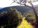 Parque Nacional de Caba&ntilde;eros.