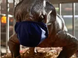 ‘Jurassic World: Dominion’ paraliza su rodaje por COVID-19 (y muestra a su dinosaurio bebé)