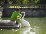 El jardinero Raúl, junto al cisne con el que entabló una amistad.