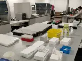 Muestras para la realización de pruebas PCR de COVID-19, mediante el sistema de 'pooling', en el área sanitaria de Vigo.