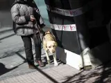 Una persona ciega camina con su perro guía.