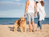 Una pareja pasea a su perro en la playa