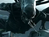 Fotograma de 'Alien: Covenant'