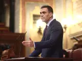 El presidente del Gobierno, Pedro Sánchez interviene en una sesión plenaria en el Congreso de los Diputados