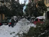 Daños en Madrid por el temporal Filomena