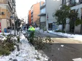 Un operario retira árboles dañados en el centro de Madrid.