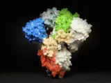 La imagen muestra una impresión 3D de una proteína espiga en la superficie del SARS-CoV-2, el virus que causa COVID-19.