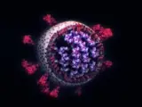 Cuando los contagios de COVID-19 comenzaron a dispararse el pasado diciembre en Reino Unido, en la que se convirtió después en la tercera ola de la pandemia, los científicos observaron que algo había cambiado en el coronavirus y sospecharon que podía tratarse de una nueva variante.