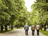 Tres jubilados o pensionistas caminan por un parque.