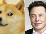 El meme Doge y Elon Musk.