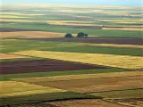 Tierra de Campos se extiende por Palencia, Valladolid, Zamora y Le&oacute;n.