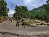 Varias personas suben andando a la Sierra de Madrid.