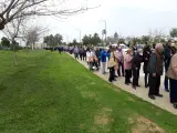 Colas en la campaña de vacunación a personas de más de 80 años en Sevilla.