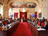 Pleno del Ayuntamiento de Málaga