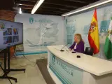 La alcaldesa de Marbella, Ángeles Muñoz, durante un encuentro online