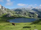 Se trata de tres lagos de origen glacial, el Enol, el Ercina y el Bricial (este &uacute;ltimo solo tiene agua durante el deshielo) que se encuentran en la parte asturiana de los Picos de Europa, cerca de Cangas de On&iacute;s. Son de una gran belleza, rodeados de monta&ntilde;a y se encuentran en un paraje espectacular.