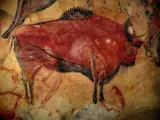 Se la considera la Capilla Sixtina del arte rupestre y en su interior están las pinturas de animales como bisontes, ciervos o caballos que fueron realizadas hace entre 36.000 y 13.000 años. Aunque la cueva original solo la pueden visitar unas pocas personas a la semana, hay una neocueva que se ha replicado exactamente igual.